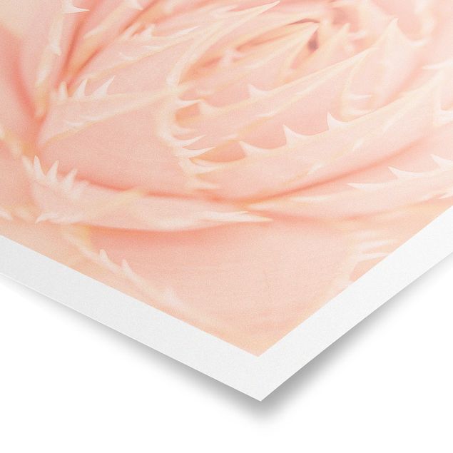 Poster - Rosa Blütenzauber Agave - Hochformat 3:4