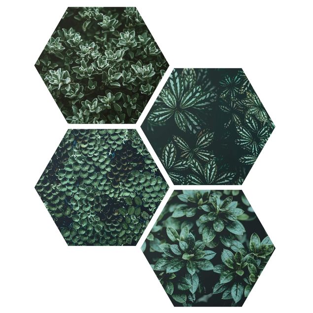 Hexagon Bild Alu-Dibond 4-teilig - Grüne Blätter Set I