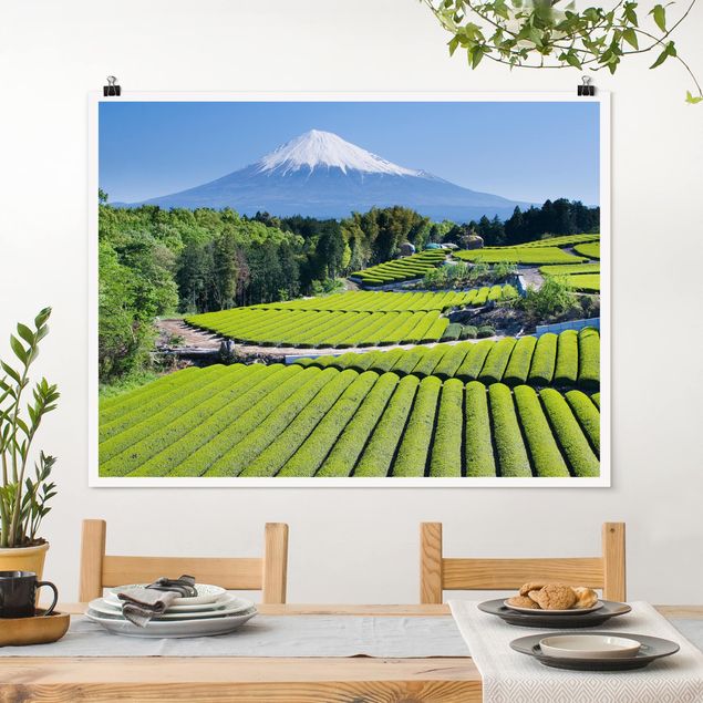Poster Landschaft Teefelder vor dem Fuji