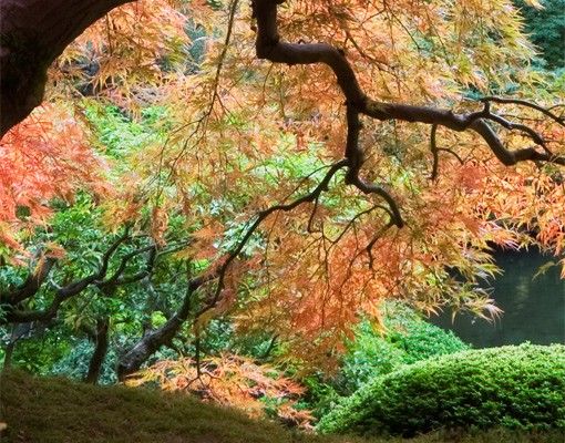 Fensterfolie Farbig Japanischer Garten