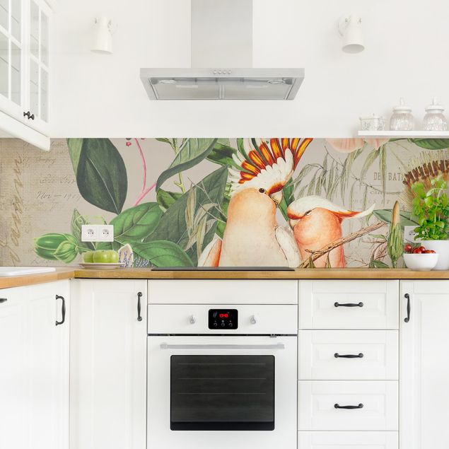 Küchenrückwand Gräser Colonial Style Collage - Rosa Kakadu