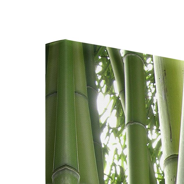 Schöne Leinwandbilder Bamboo Trees