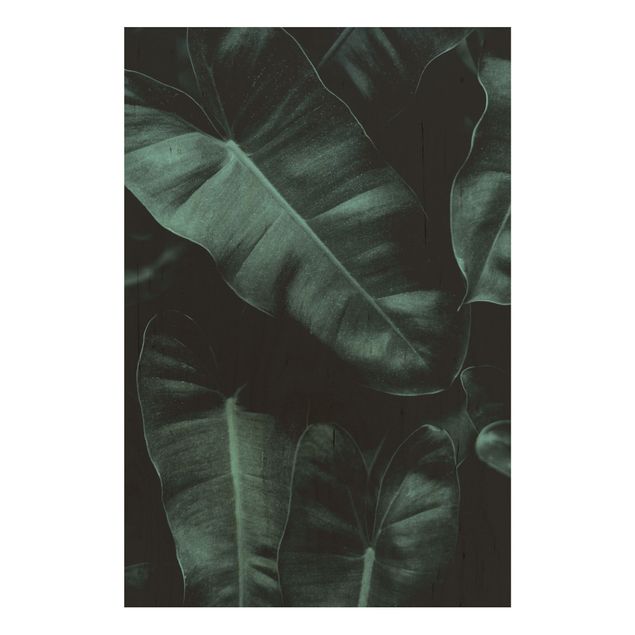 Moderne Holzbilder Dschungel Blätter Dunkelgrün