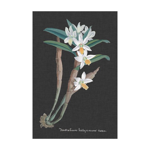 Teppich Blumen Weiße Orchidee auf Leinen I