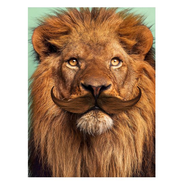 Magnettafel Tiere Löwe mit Bart