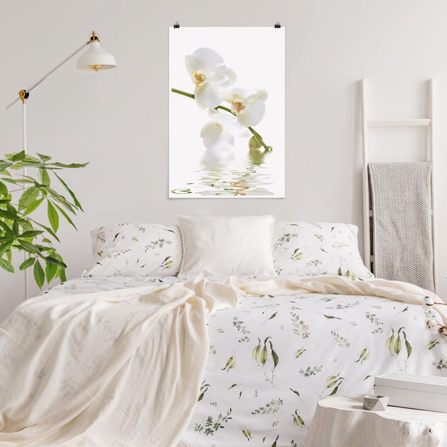 Bilder für die Wand White Orchid Waters