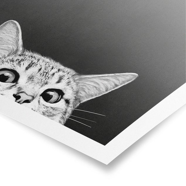 Poster Schwarz-Weiß Illustration Katze Schwarz Weiß Zeichnung