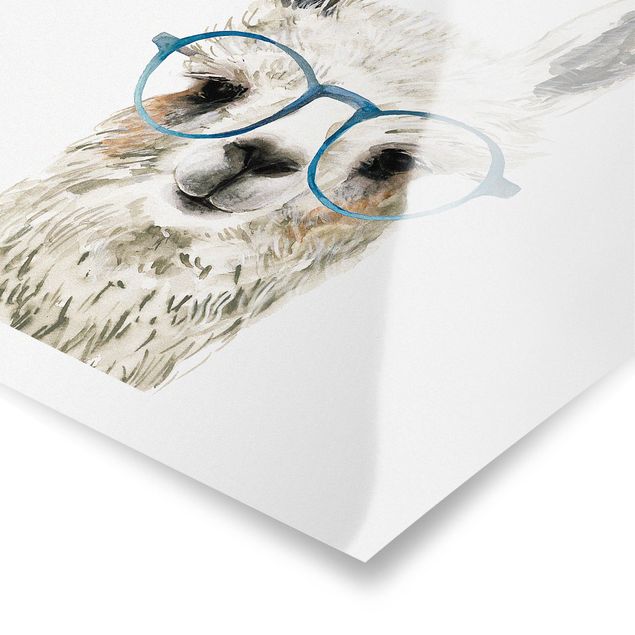 Poster - Hippes Lama mit Brille III - Quadrat 1:1