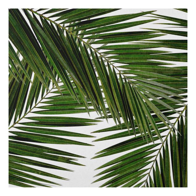 Küchenspritzschutz Blick durch grüne Palmenblätter