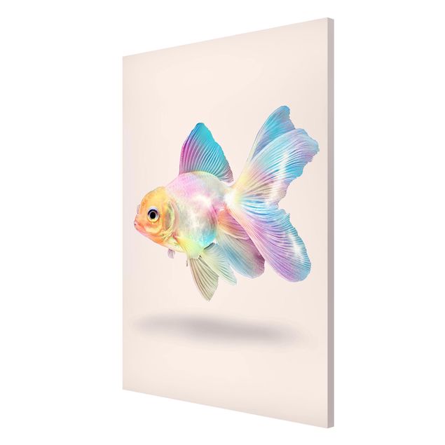 Schöne Wandbilder Fisch in Pastell