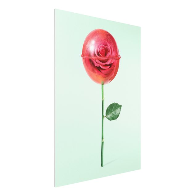 Bilder auf Hartschaumplatte Rose mit Lollipop