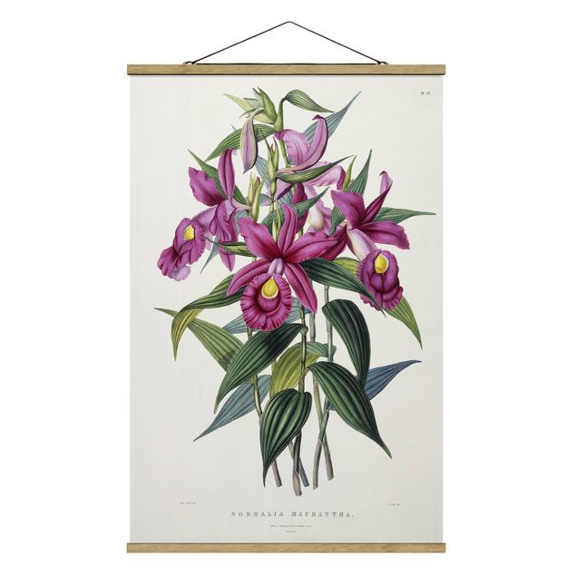 Stoffbilder zum Aufhängen Maxim Gauci - Orchidee I