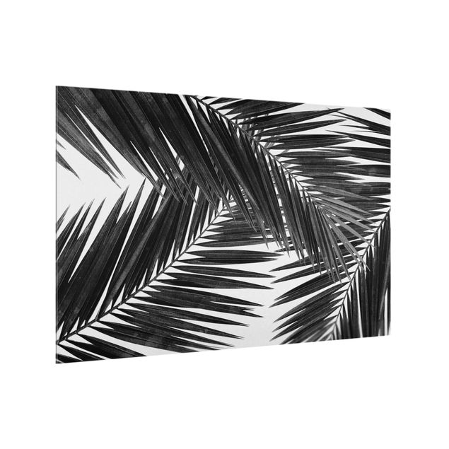 Küchenrückwand Glas Motiv Wald Blick durch Palmenblätter Schwarz-Weiß