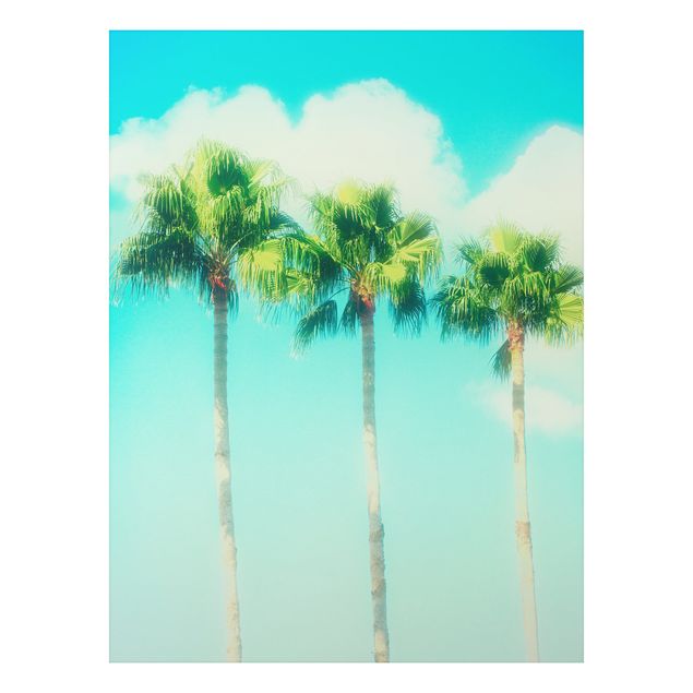 Alu Dibond Bilder Palmen vor Himmel Blau