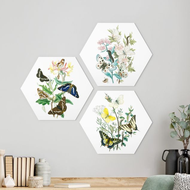 Wandbilder Tiere Britische Schmetterlinge Set I