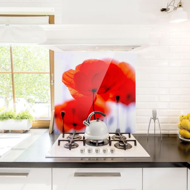 Küchenrückwand Glas Blumen Magic Poppies
