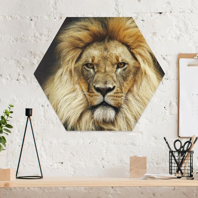 Bilder auf Hartschaumplatte Wisdom of Lion