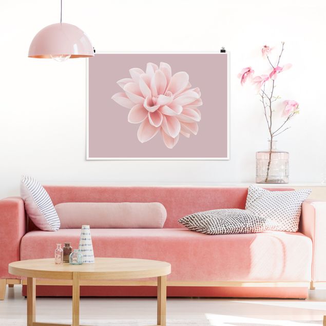 Wandbilder Dahlie Blume Lavendel Rosa Weiß