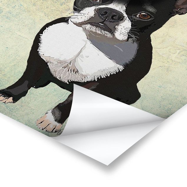 Poster bestellen Tierportrait - Terrierkönig