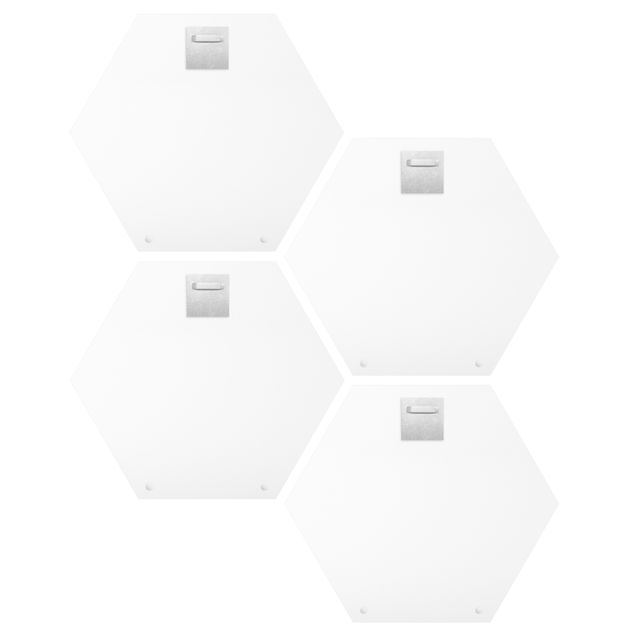 Hexagon Bild Alu-Dibond 4-teilig - Tropisches Blattwerk Set I