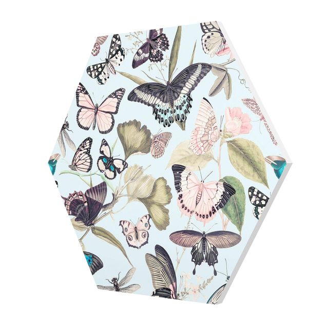 Hexagon Bild Forex - Vintage Collage - Schmetterlinge und Libellen