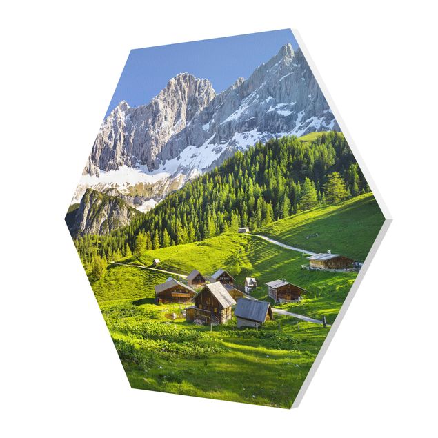 Hexagon Bild Forex - Steiermark Almwiese