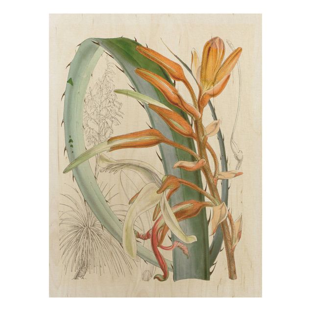 Holzbild Blumen Vintage Illustration Tropische Blüten I