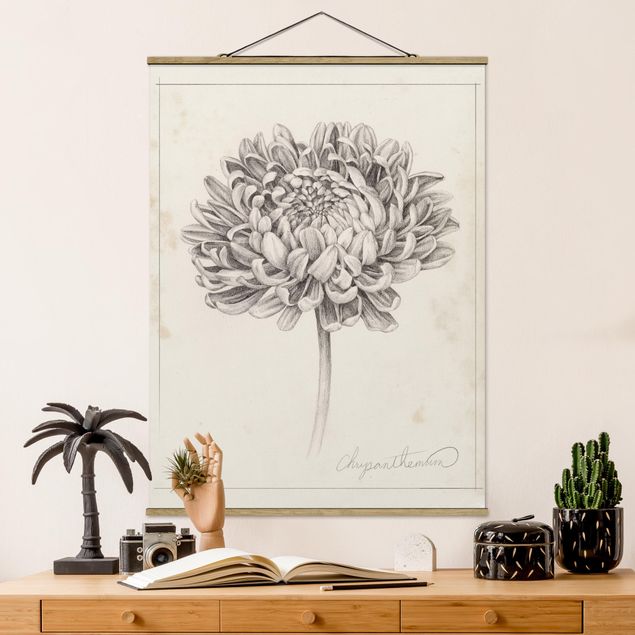Schöne Wandbilder Botanische Studie Chrysantheme II