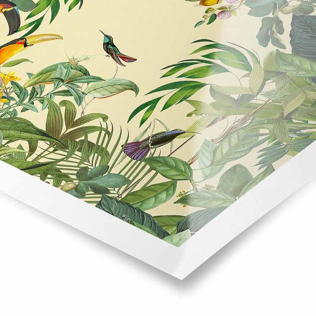 Schöne Wandbilder Vintage Collage - Vögel im Dschungel