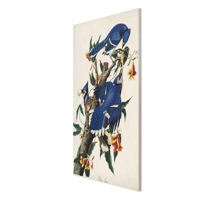 Magnettafel Blumen Vintage Lehrtafel Blauer Häher