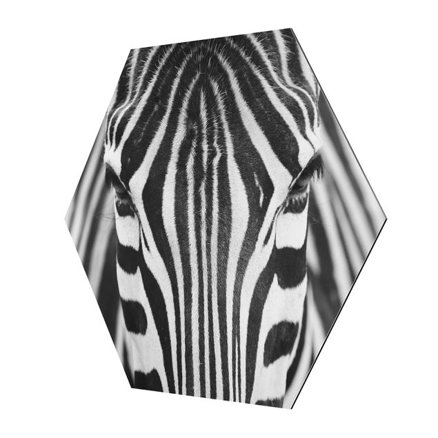 Hexagon Bild Alu-Dibond - Zebra Look