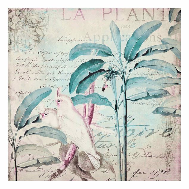 Foto auf Hartschaumplatte Colonial Style Collage - Kakadus und Palmen