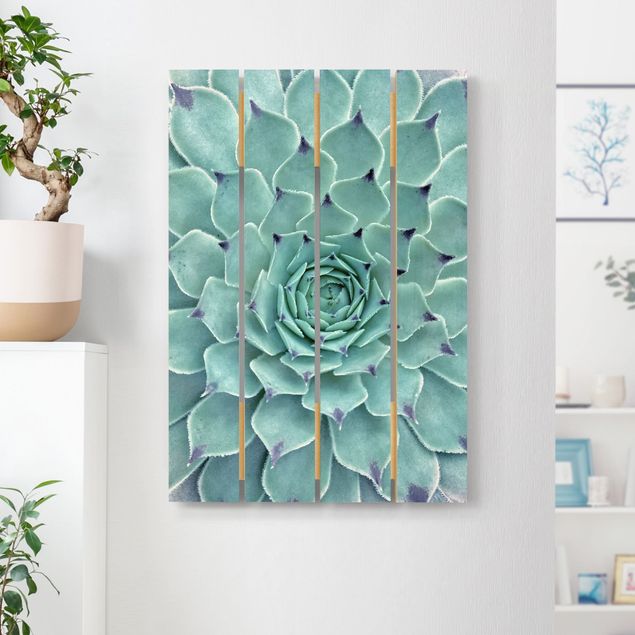 Holzbilder mit Blumen Kaktus Agave