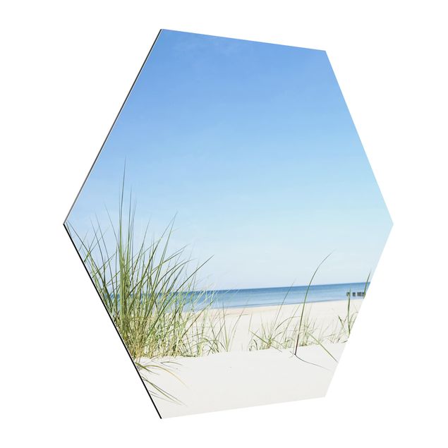Hexagon Bild Alu-Dibond - Ostseeküste