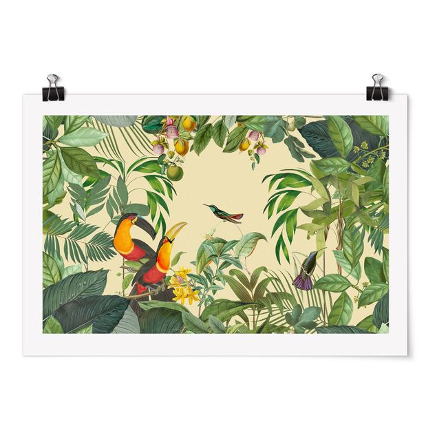 Retro Poster  Vintage Collage - Vögel im Dschungel