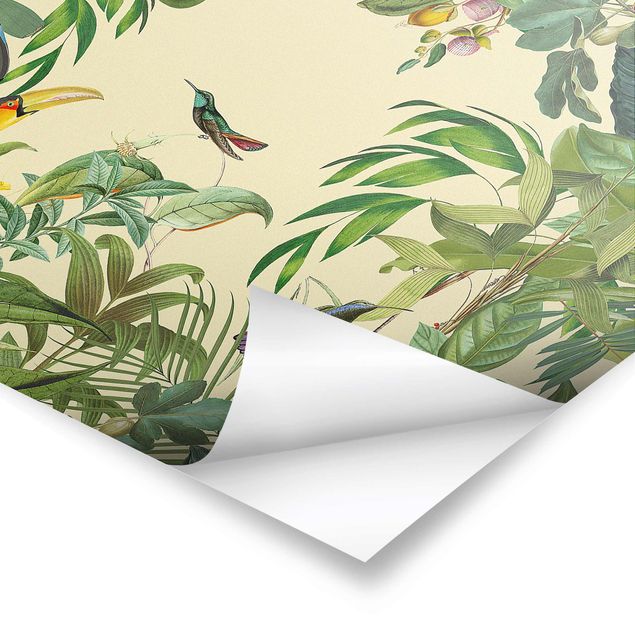 Poster bestellen Vintage Collage - Vögel im Dschungel