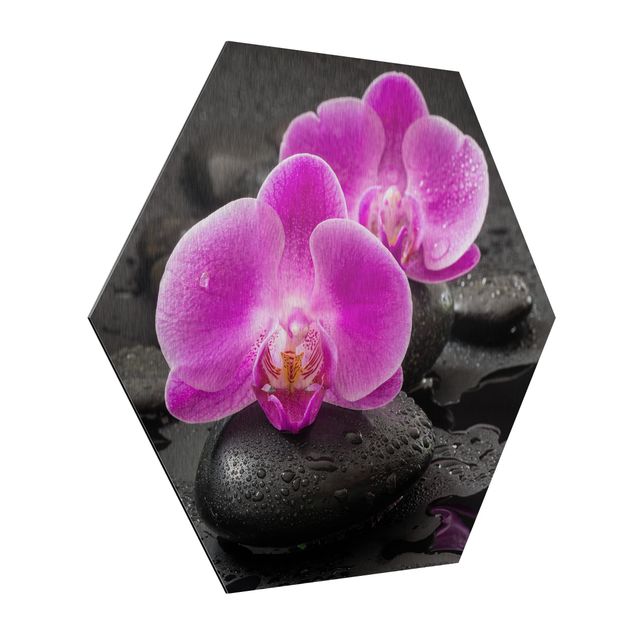 Hexagon Bild Alu-Dibond - Pinke Orchideenblüten auf Steinen mit Tropfen
