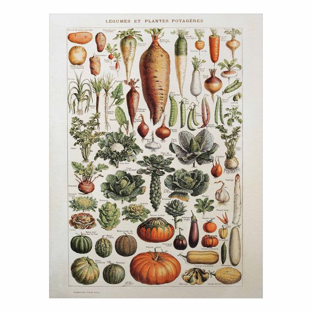 Foto auf Alu Dibond Vintage Lehrtafel Gemüse