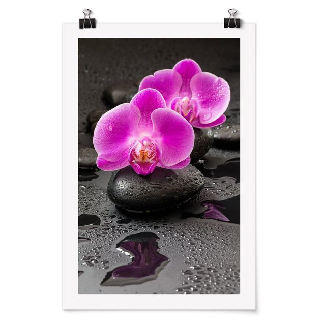 Poster - Pinke Orchideenblüten auf Steinen mit Tropfen - Hochformat 3:2