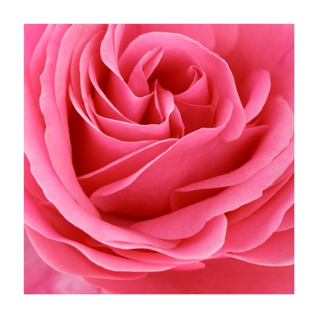 Teppich Blumen Lustful Pink Rose