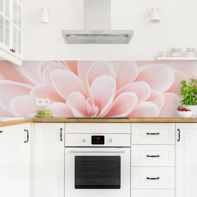 Küchenrückwand Glas Motiv Blumen Dahlie in Pastellrosa