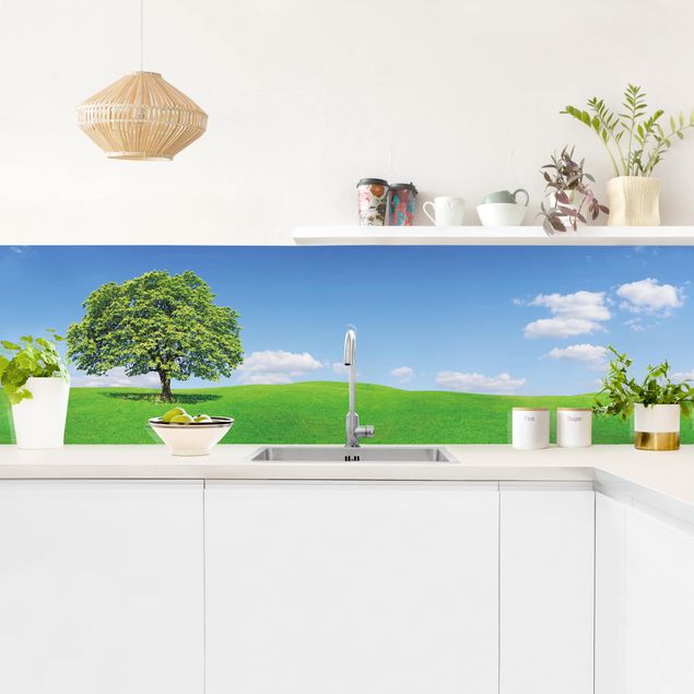 Küchenrückwand Bäume Panoramic