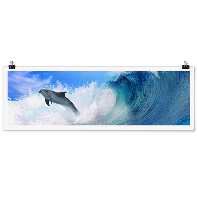 Strand Poster Playing Dolphins