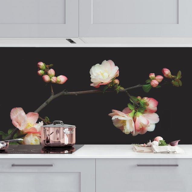 Küchenrückwände Platte Blütenzweig Apfelbaum