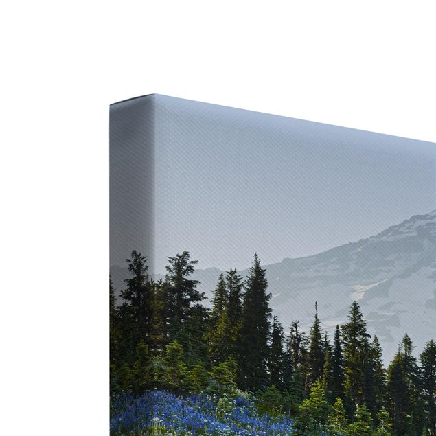 Bilder für die Wand Bergwiese mit blauen Blumen vor Mt. Rainier
