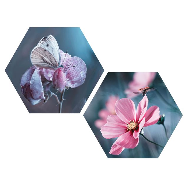 Hexagon Wandbilder Schmetterling und Marienkäfer auf Blüten