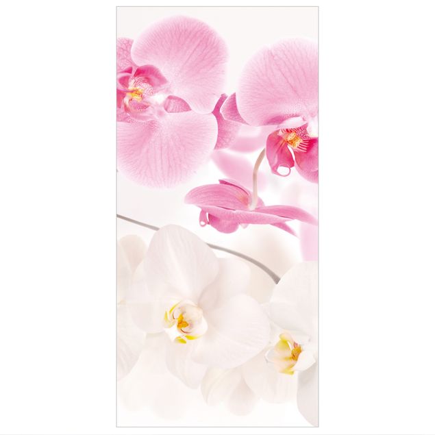 Orchideen Raumteiler - Delicate Orchids - Orchideen Bild 250x120cm