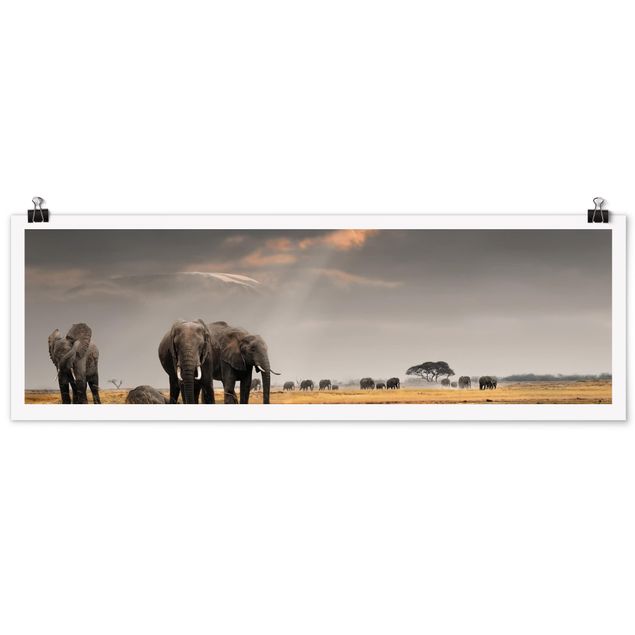 Schöne Wandbilder Elefanten der Savanne