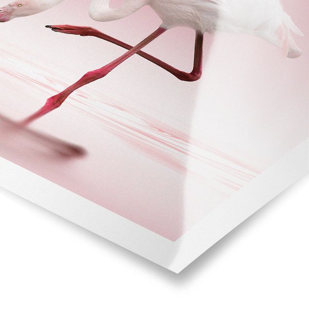 Poster - Flamingo Dance - Querformat 3:4