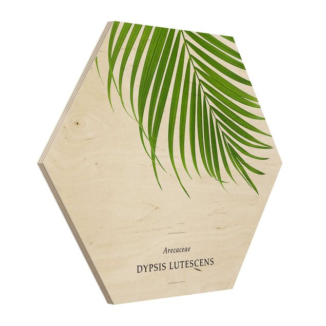 Wandbild Holz Tropisches Blatt Areca Palme